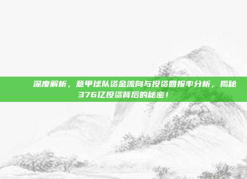 📊 深度解析，意甲球队资金流向与投资回报率分析，揭秘376亿投资背后的秘密！