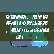 深度解析，法甲俱乐部社交媒体策略，揭秘463成功秘诀！💻