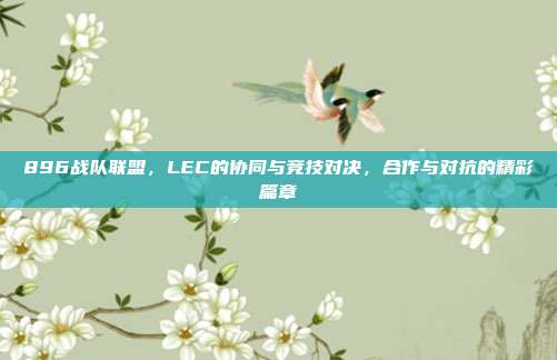 896战队联盟，LEC的协同与竞技对决，合作与对抗的精彩篇章