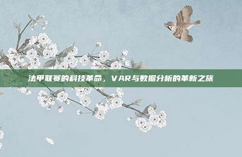 法甲联赛的科技革命，VAR与数据分析的革新之旅